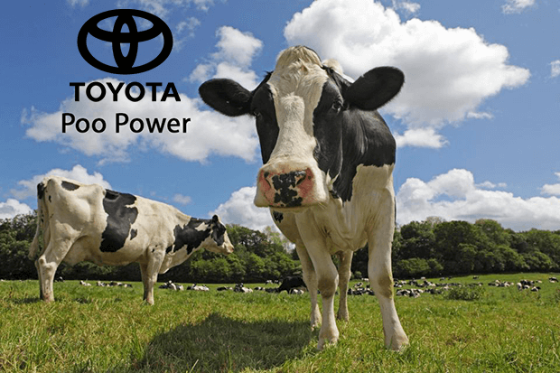 Toyota will power hydrogen and electric cars by cow dung from 2020